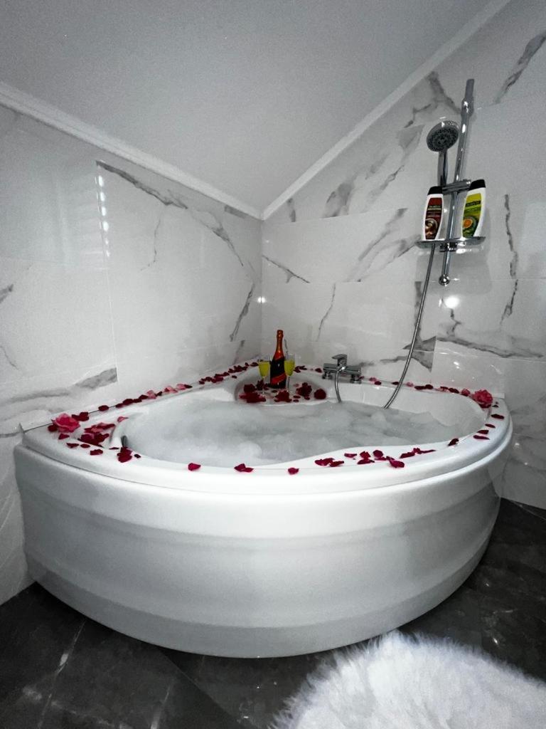 Luxury Apartment Megy Otočac Extérieur photo