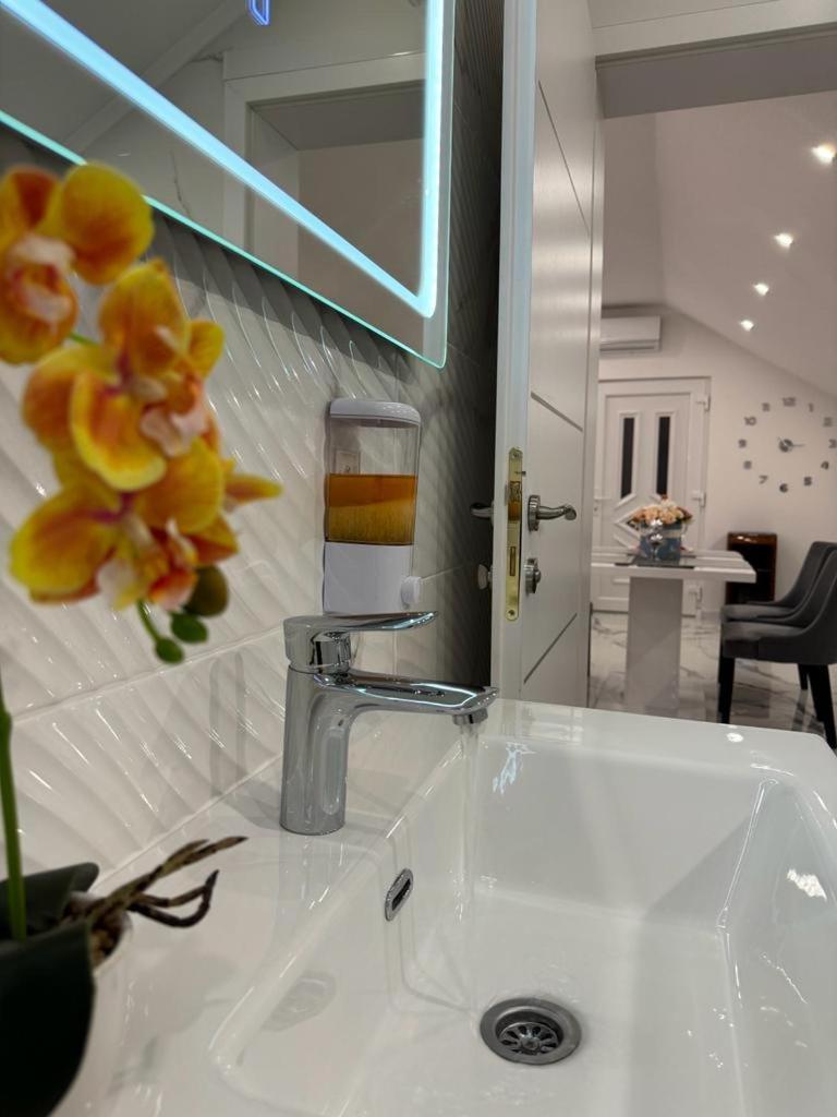 Luxury Apartment Megy Otočac Extérieur photo