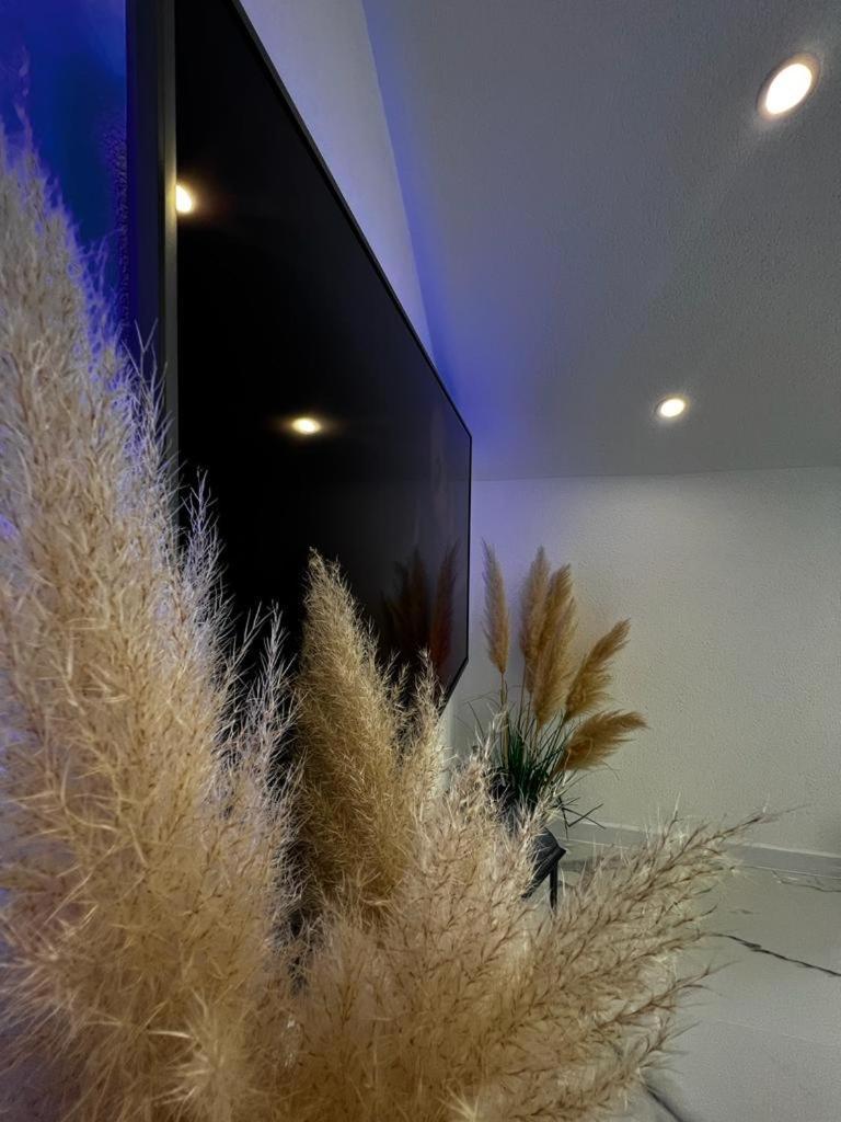 Luxury Apartment Megy Otočac Extérieur photo